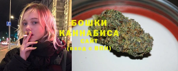 шишки Абаза