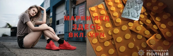 шишки Абаза