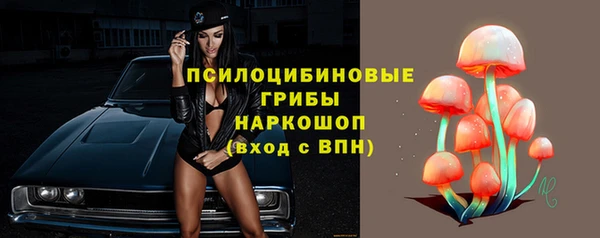 СК Абинск