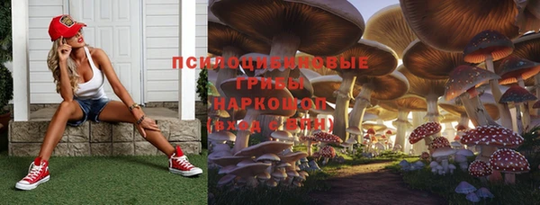 СК Абинск