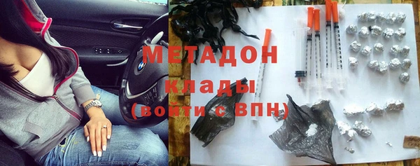 шишки Абаза